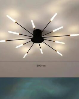 Ceiling Room Lights With Special Iron...