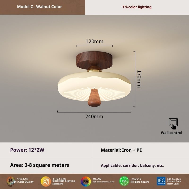 Antique Glass Ceiling Lamp Antique Glass Ceiling Lamp 37989