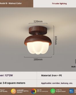 Antique Glass Ceiling Lamp